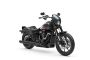 COULEUR : Iron Horse Metallic (+ 700 €)